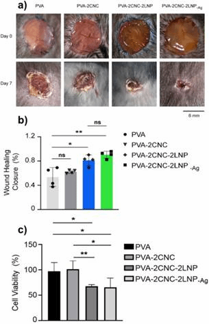 Fig. 7